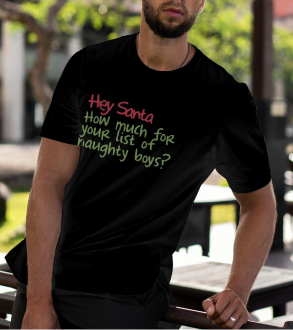 Hey Santa How Much For Your List Of Naughty Boys T-Shirt