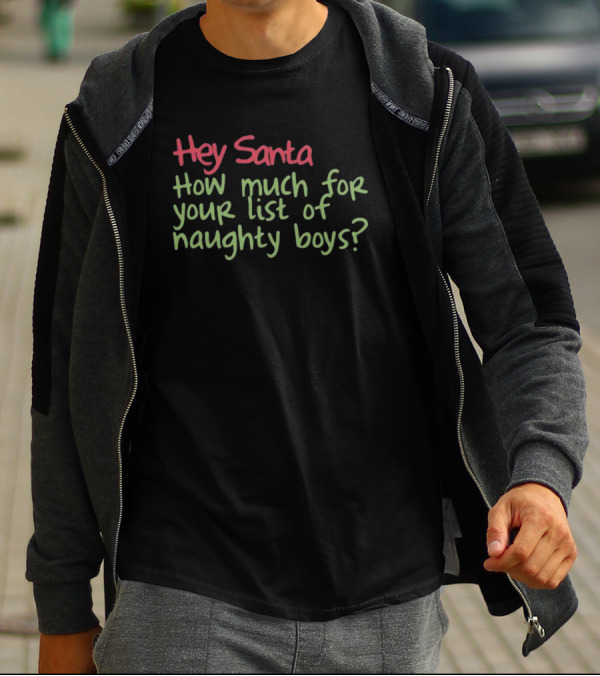 Hey Santa How Much For Your List Of Naughty Boys T-Shirt