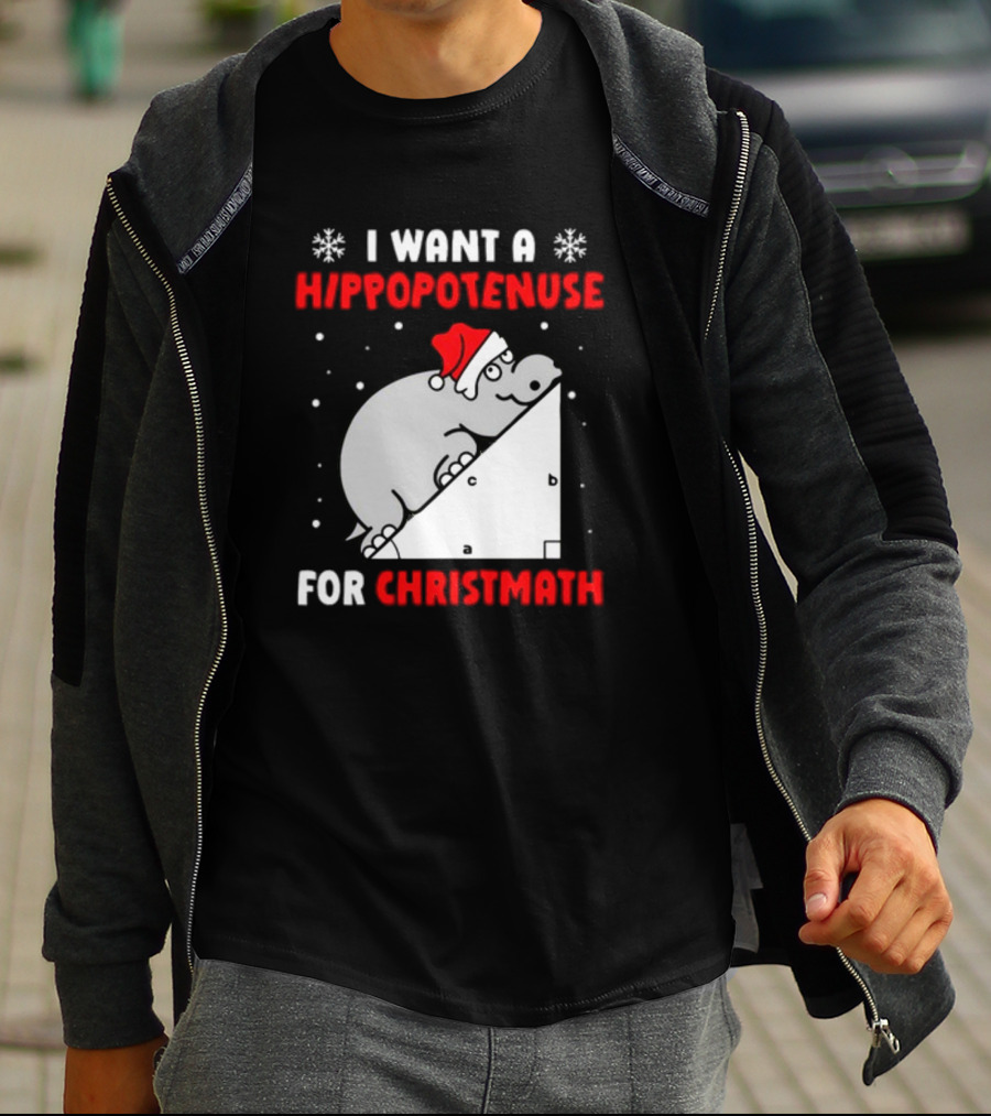 I Want A Hippopotenuse For Christmath Santa Hippo Geometry T-Shirt