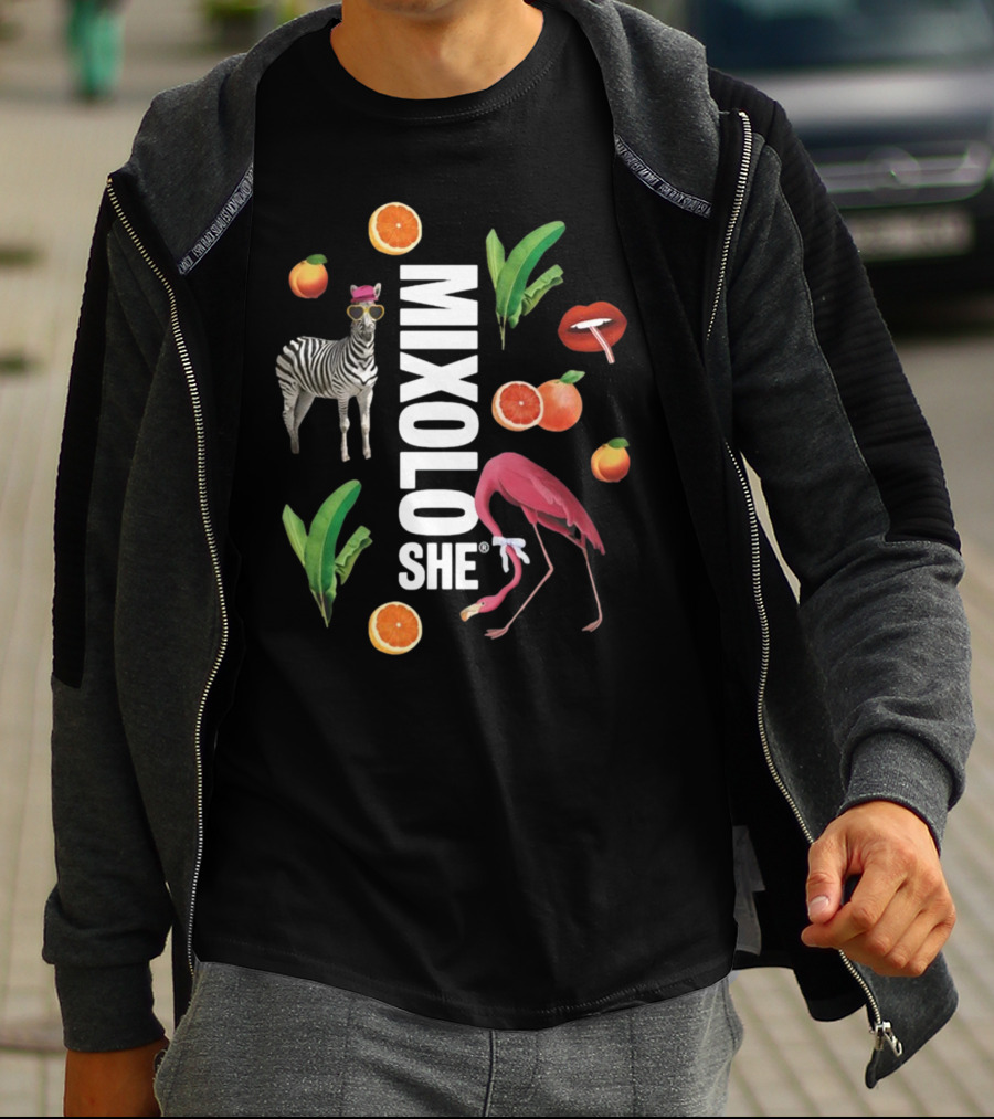 Mixoloshe Zebra Flamingo Lips With Fruits And Leaves T-Shirt