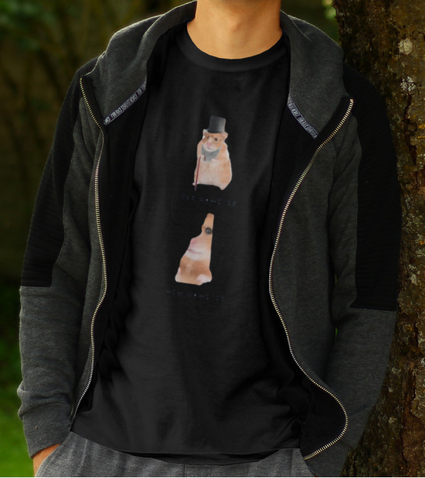 Old Hamster New Hamster New Hampshire State Shape T-Shirt