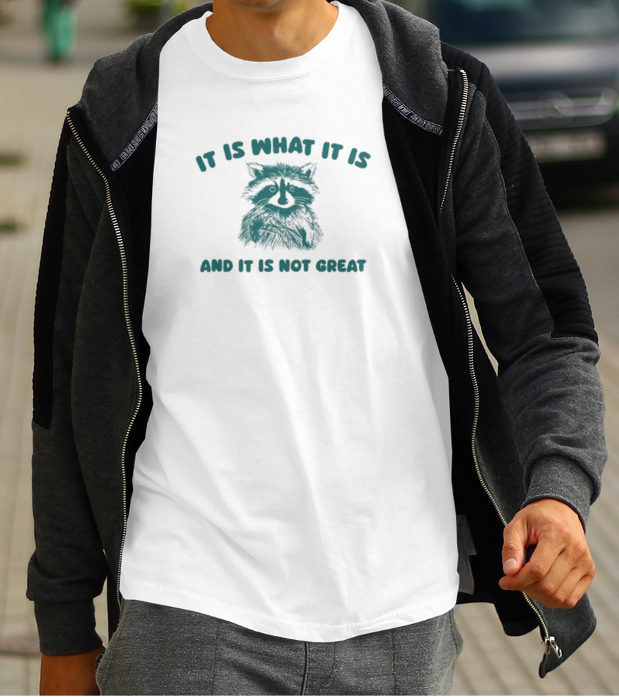 It Is What It Is And It Is Not Great Raccoon T-Shirt