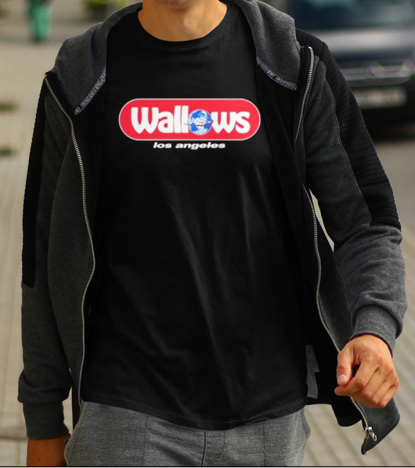 Wallows Los Angeles With Globe Graphic Circle T-Shirt