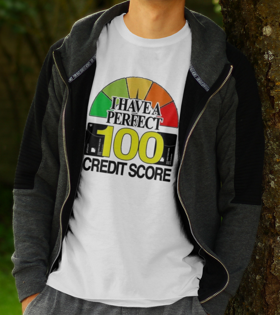 I Have A Perfect 100 Credit Score Gauge Graph T-Shirt