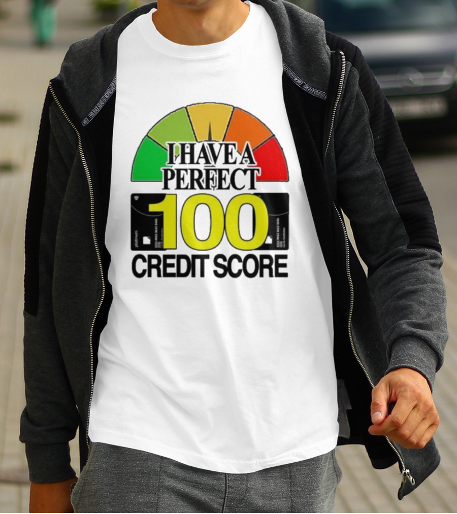 I Have A Perfect 100 Credit Score Gauge Graph T-Shirt