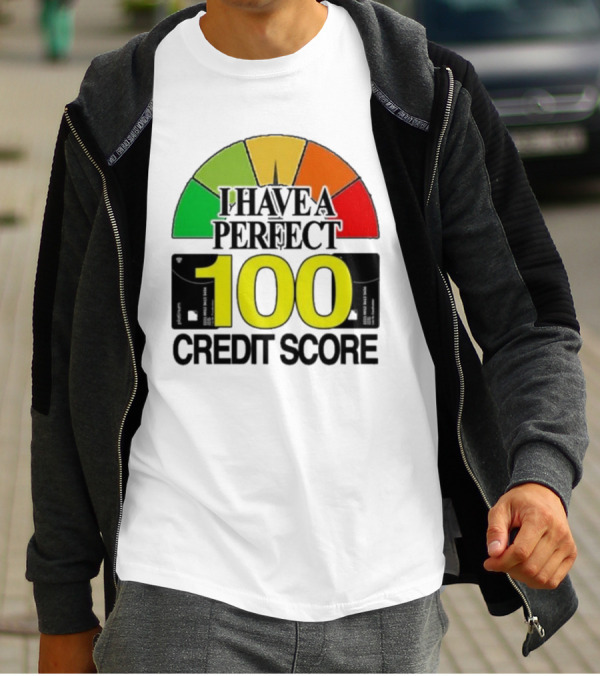 I Have A Perfect 100 Credit Score Gauge Graph T-Shirt