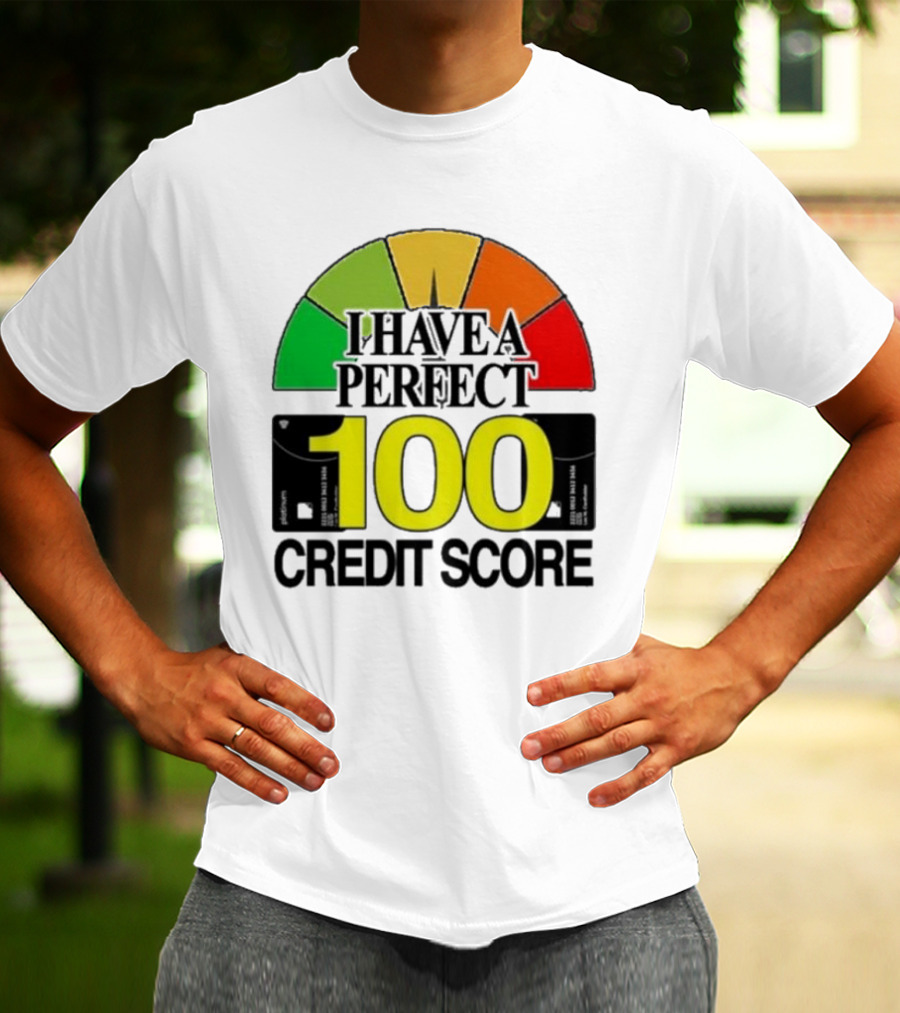 I Have A Perfect 100 Credit Score Gauge Graph T-Shirt