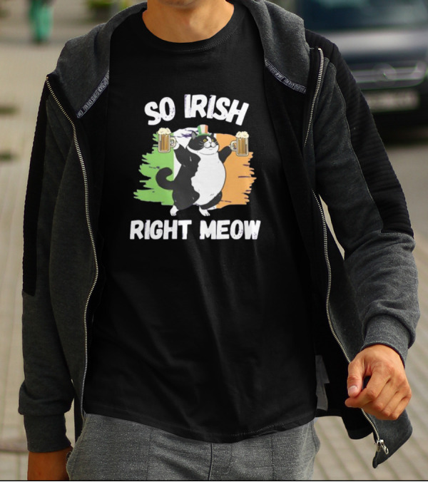 So Irish Right Meow Cat Holding Beer With Irish Flag In Background T-Shirt
