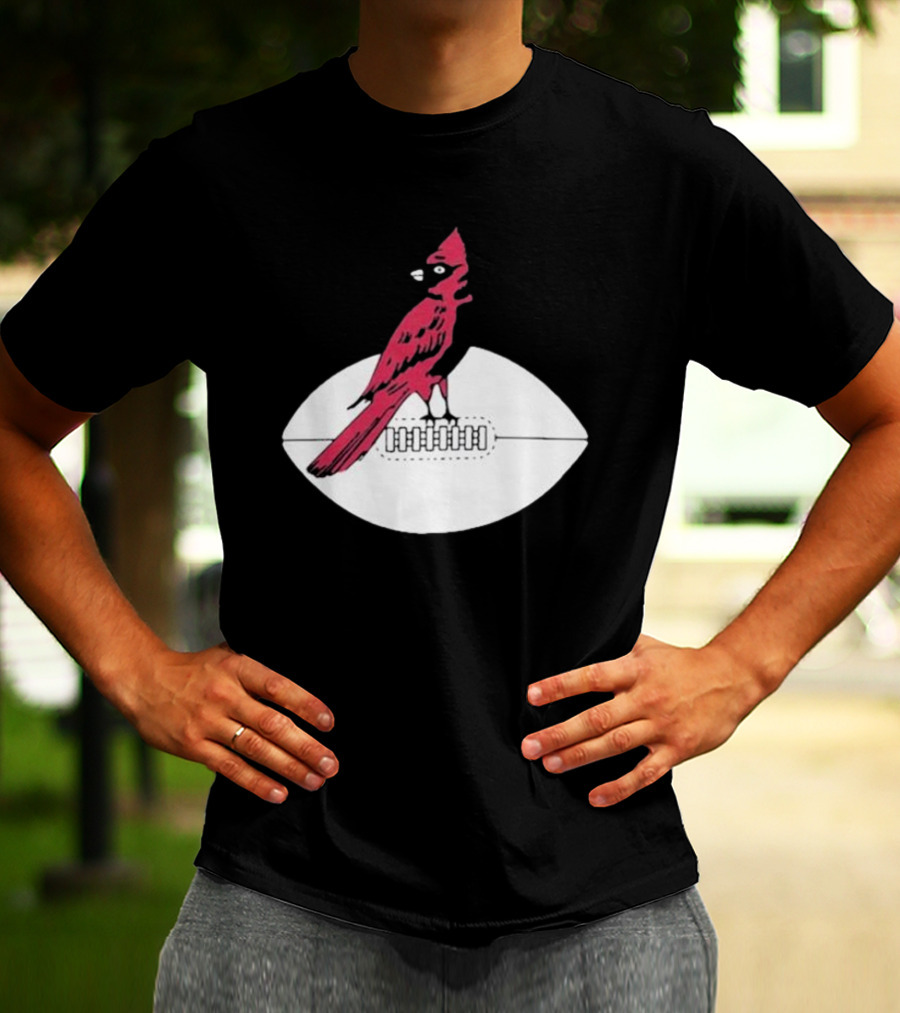 Arizona Cardinals Vintage Cardinal On Football T-Shirt