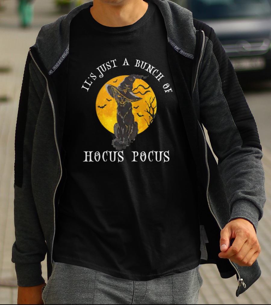 It's Just A Bunch Of Hocus Pocus Halloween Black Cat And Witch Hat With Full Moon T-Shirt