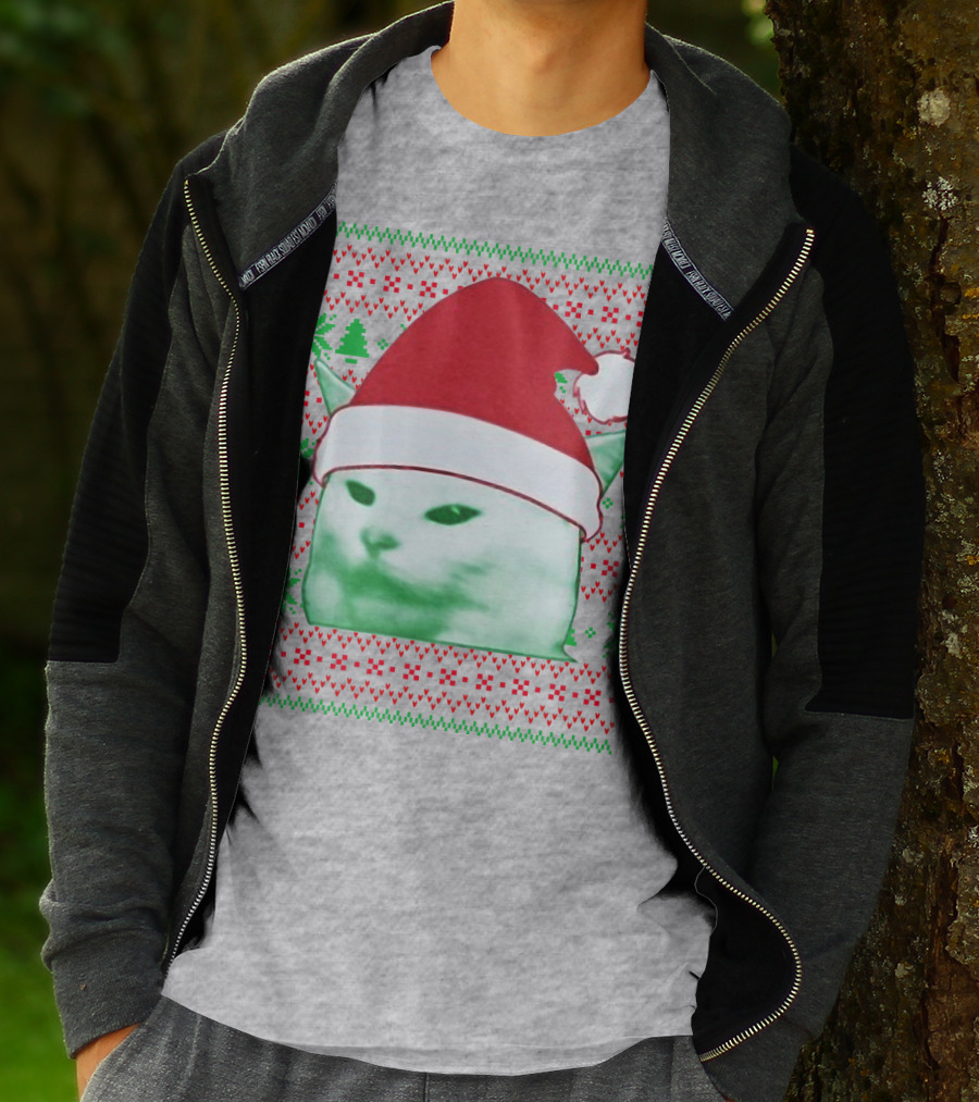 Santa Hat Cat Meme Christmas Pattern Raglan T-Shirt