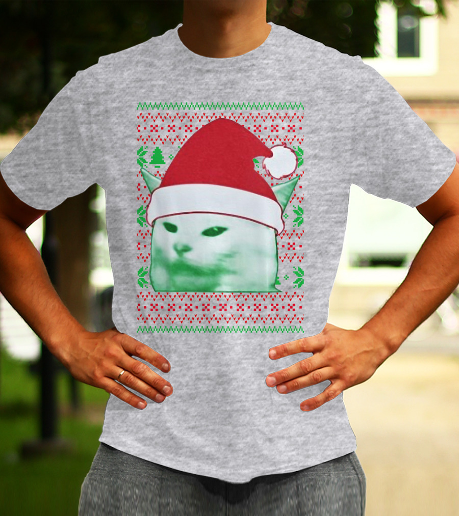 Santa Hat Cat Meme Christmas Pattern Raglan T-Shirt