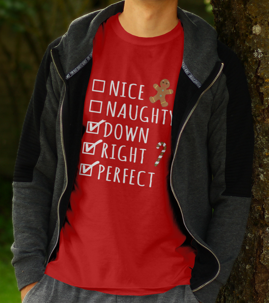 Nice Naughty Down Right Perfect Gingerbread Candy Cane Holiday Checklist T-Shirt