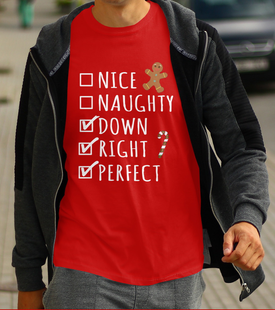 Nice Naughty Down Right Perfect Gingerbread Candy Cane Holiday Checklist T-Shirt