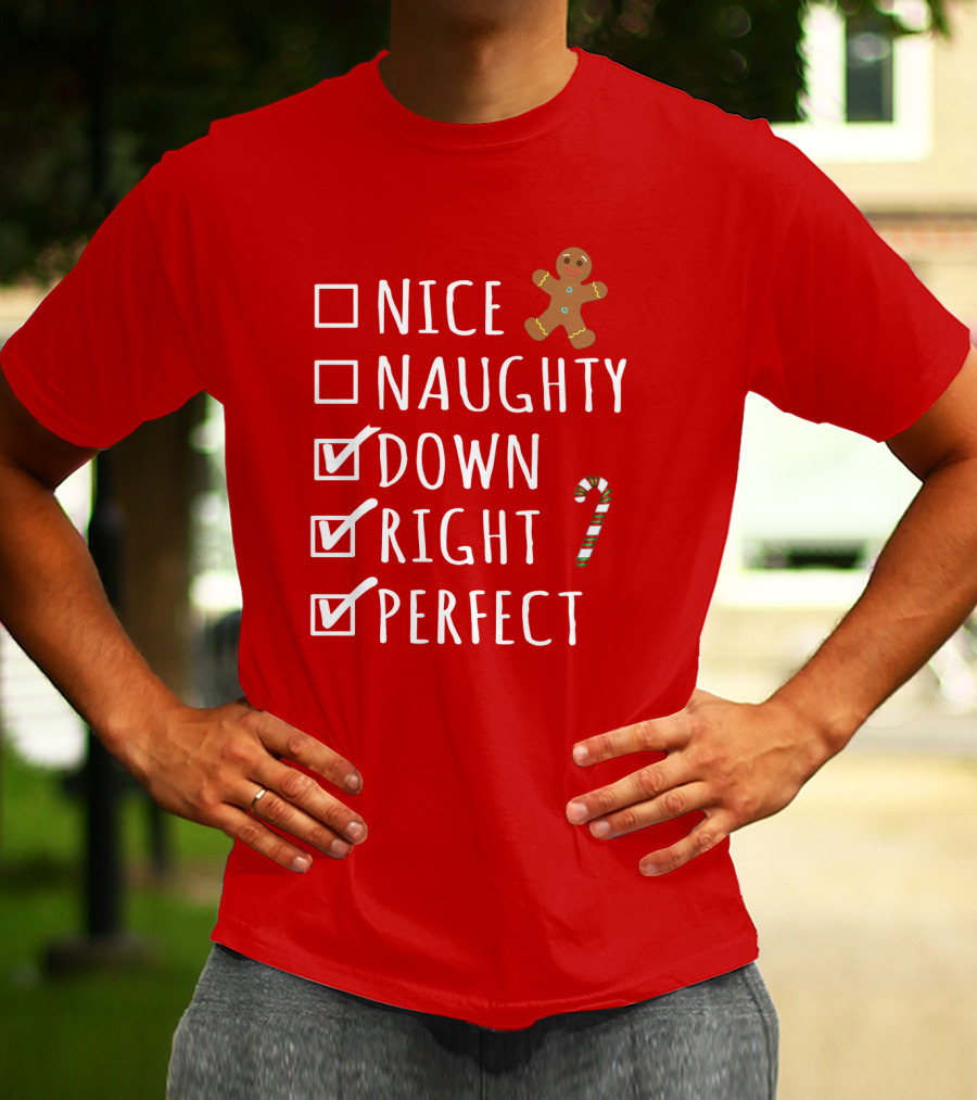 Nice Naughty Down Right Perfect Gingerbread Candy Cane Holiday Checklist T-Shirt