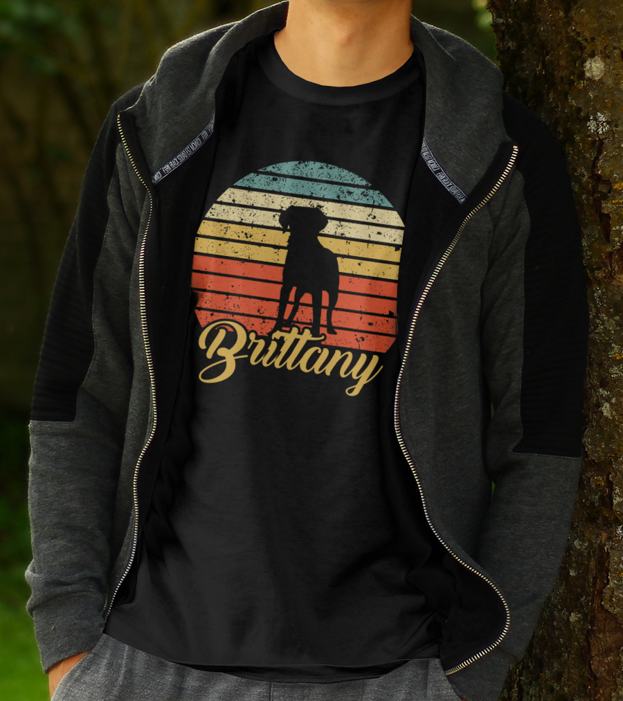 Brittany Spaniel Silhouette Retro Sunset Stripes T-Shirt