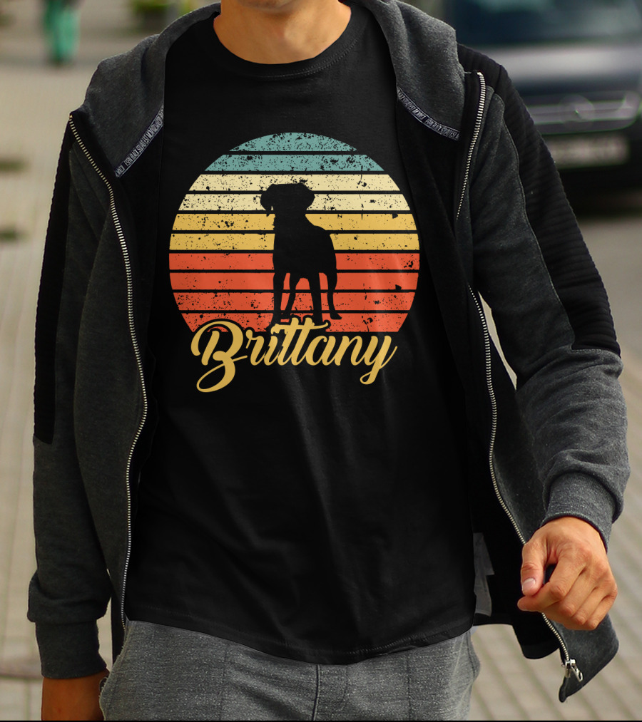Brittany Spaniel Silhouette Retro Sunset Stripes T-Shirt