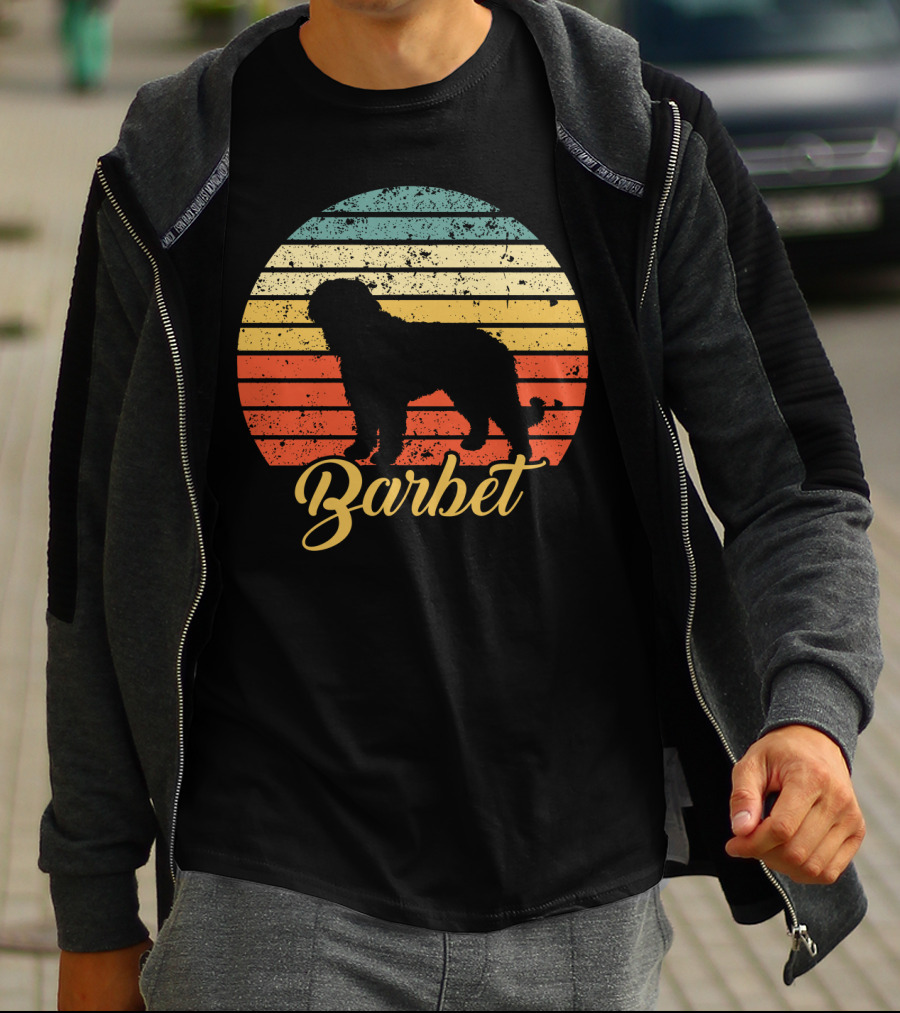 Vintage Barbet Retro Sunset T-Shirt
