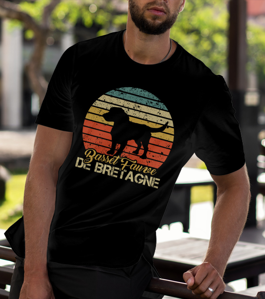 Retro Stripes Basset Fauve De Bretagne Silhouette Vintage T-Shirt