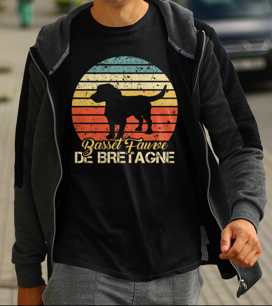 Retro Stripes Basset Fauve De Bretagne Silhouette Vintage T-Shirt