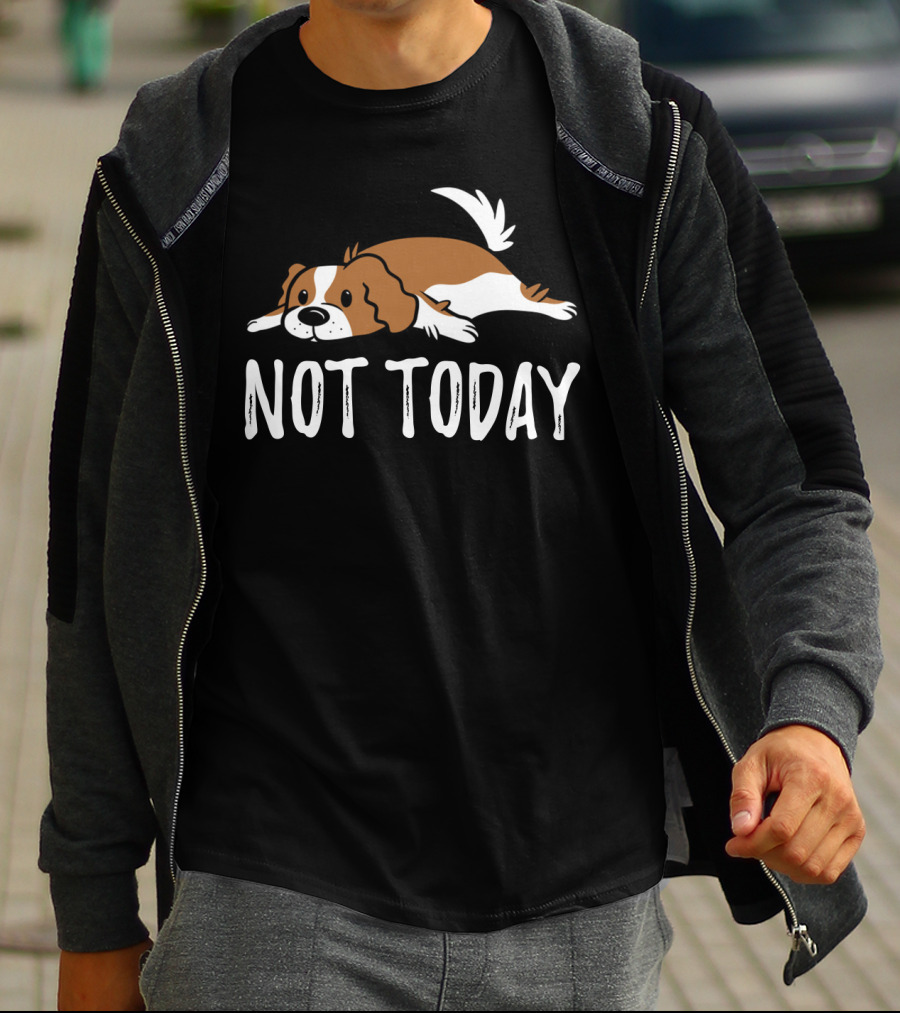 Cavalier King Charles Dog Not Today Relaxed Mood T-Shirt