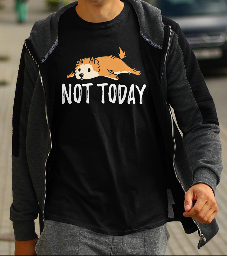NOT TODAY POMERANIAN LAZY DOG LOUNGING T-Shirt