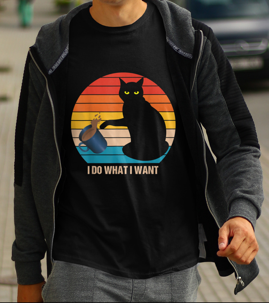 Funny Vintage Cat Do What I Want Cat Lover Retro Sunset T-Shirt