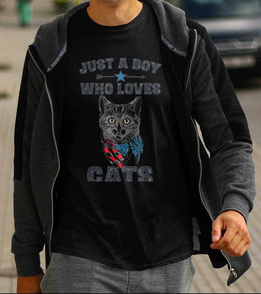 Just A Boy Who Loves Cats Patriotic Vintage Cat Lover T-Shirt