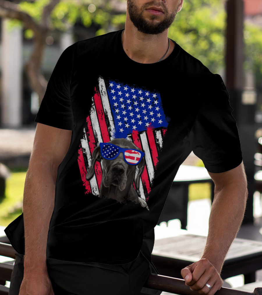 Vintage Distressed Great Dane With American USA Flag Sunglasses T-Shirt