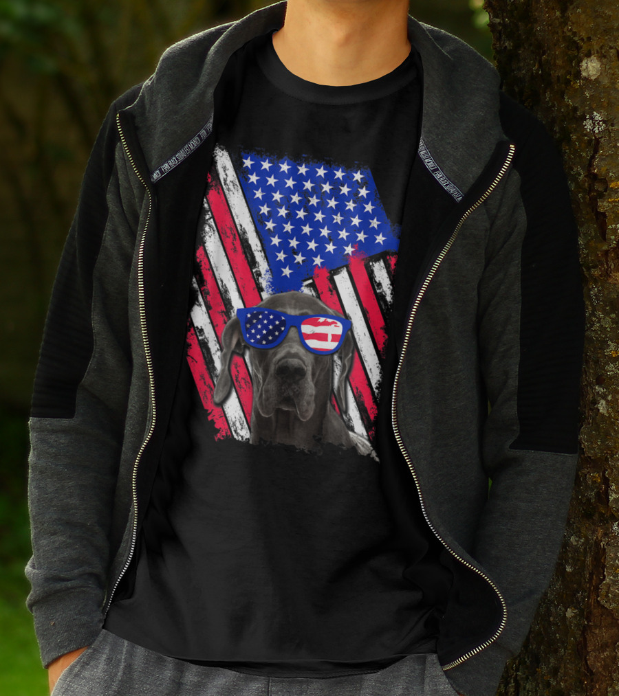 Vintage Distressed Great Dane With American USA Flag Sunglasses T-Shirt