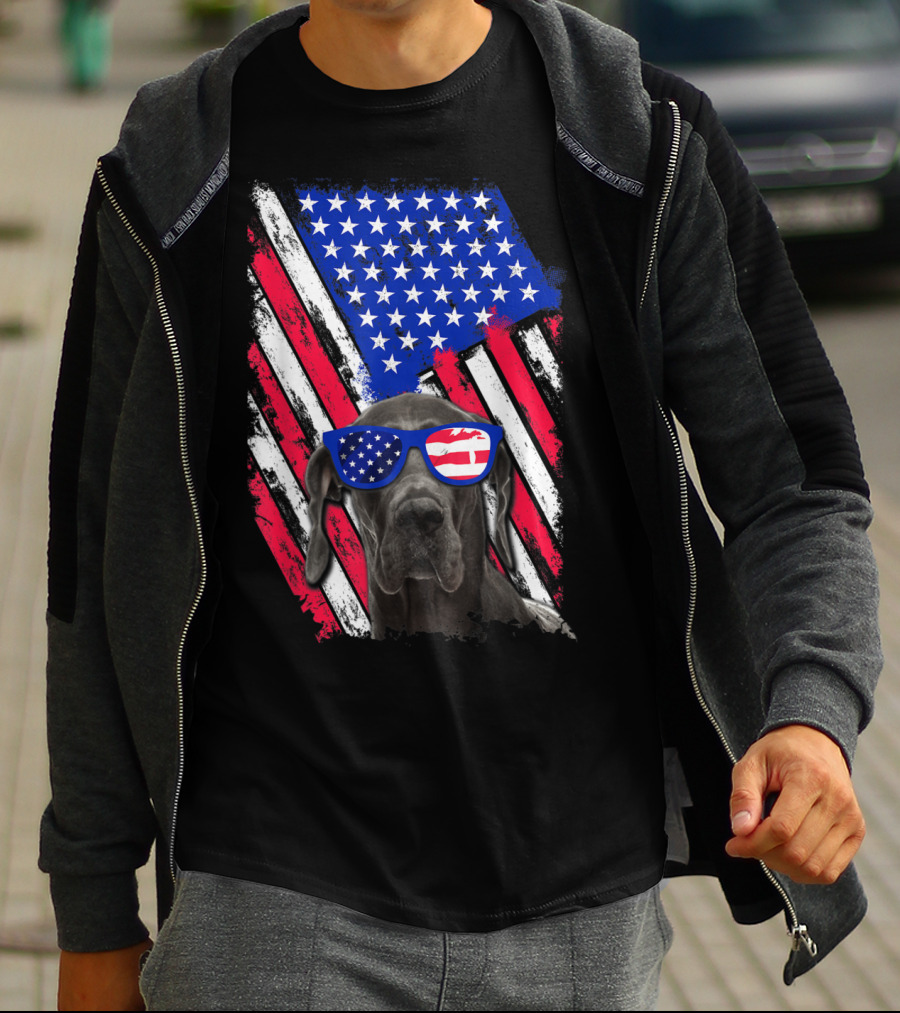 Vintage Distressed Great Dane With American USA Flag Sunglasses T-Shirt