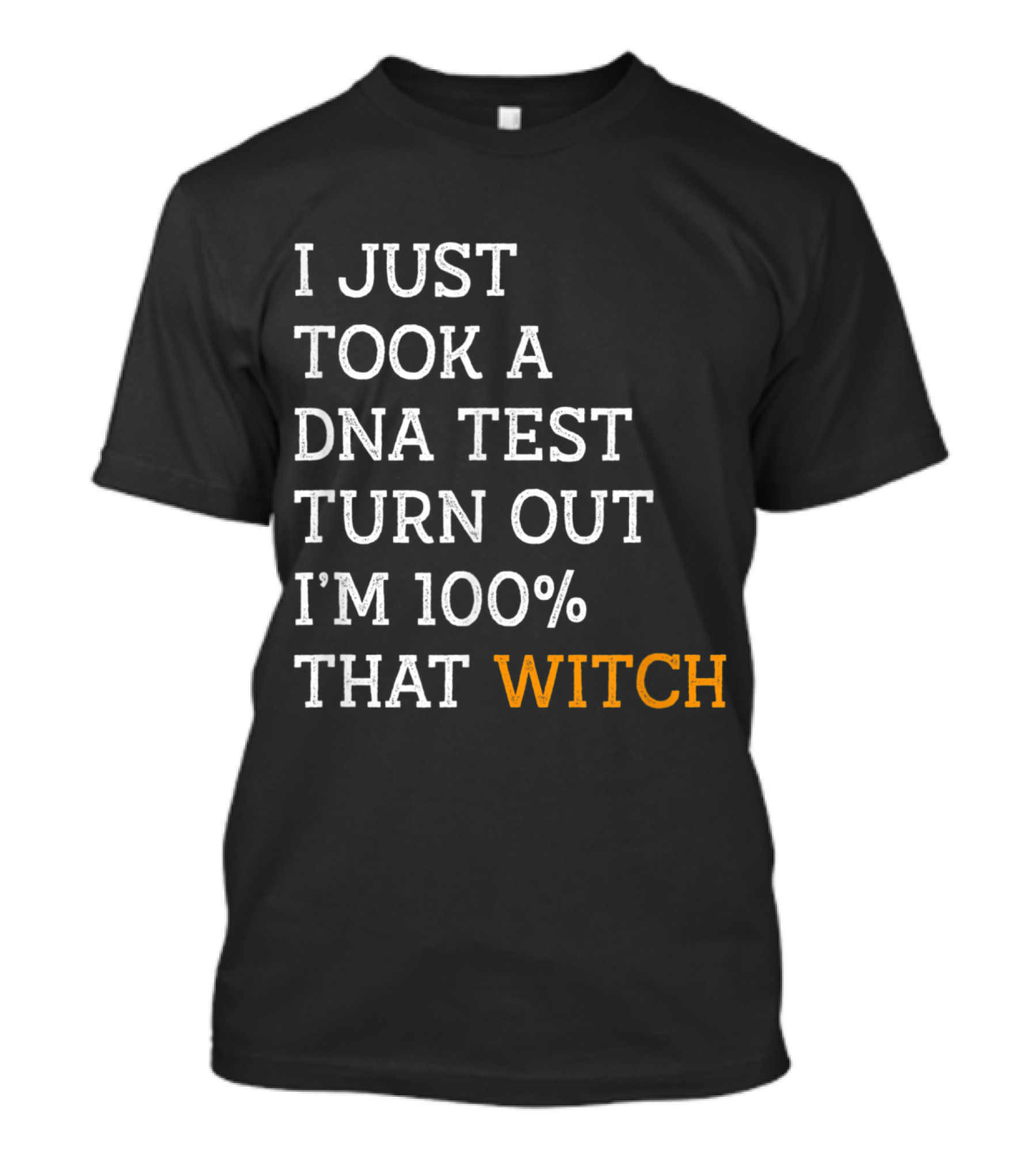 I Just Took A DNA Test Turn Out I'm 100% That Witch T-Shirt