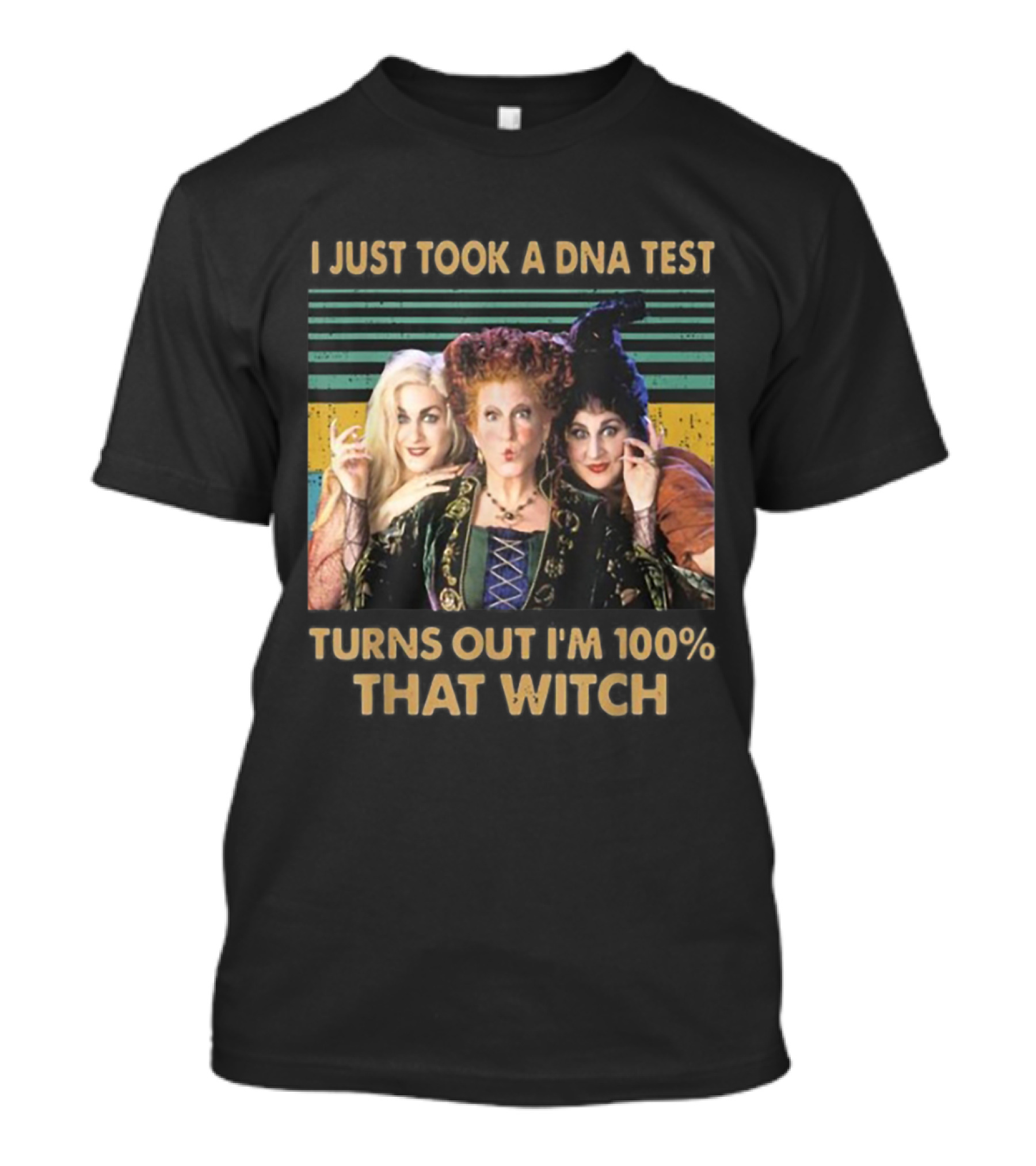 I Just Took A DNA Test Turns Out I'm 100% That Witch Hocus Pocus Sanderson Sisters T-Shirt