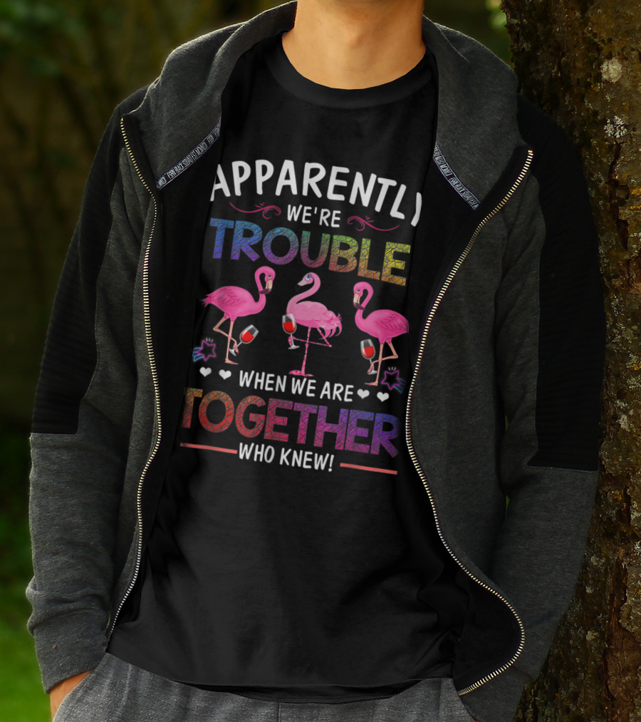 Apparently We're Trouble When We Are Together Who Knew Flamingo Wine Glass Party T-Shirt