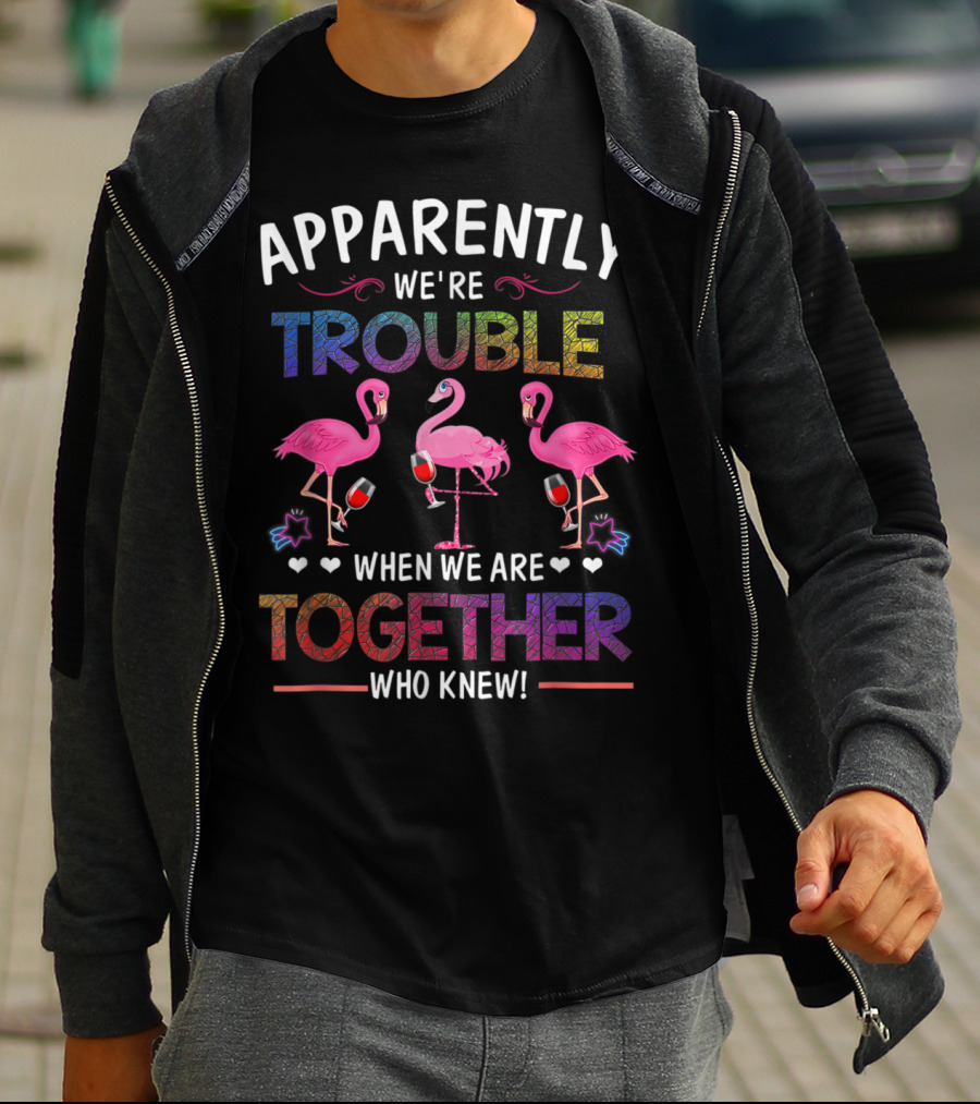 Apparently We're Trouble When We Are Together Who Knew Flamingo Wine Glass Party T-Shirt