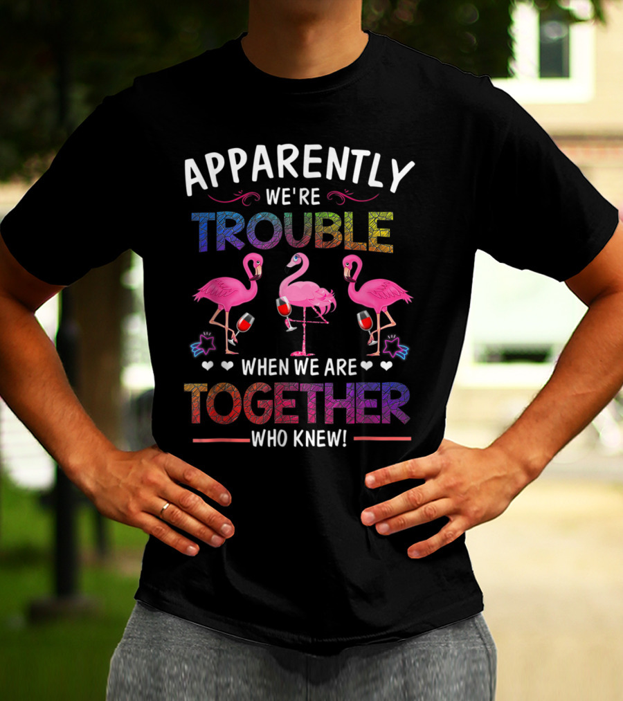Apparently We're Trouble When We Are Together Who Knew Flamingo Wine Glass Party T-Shirt