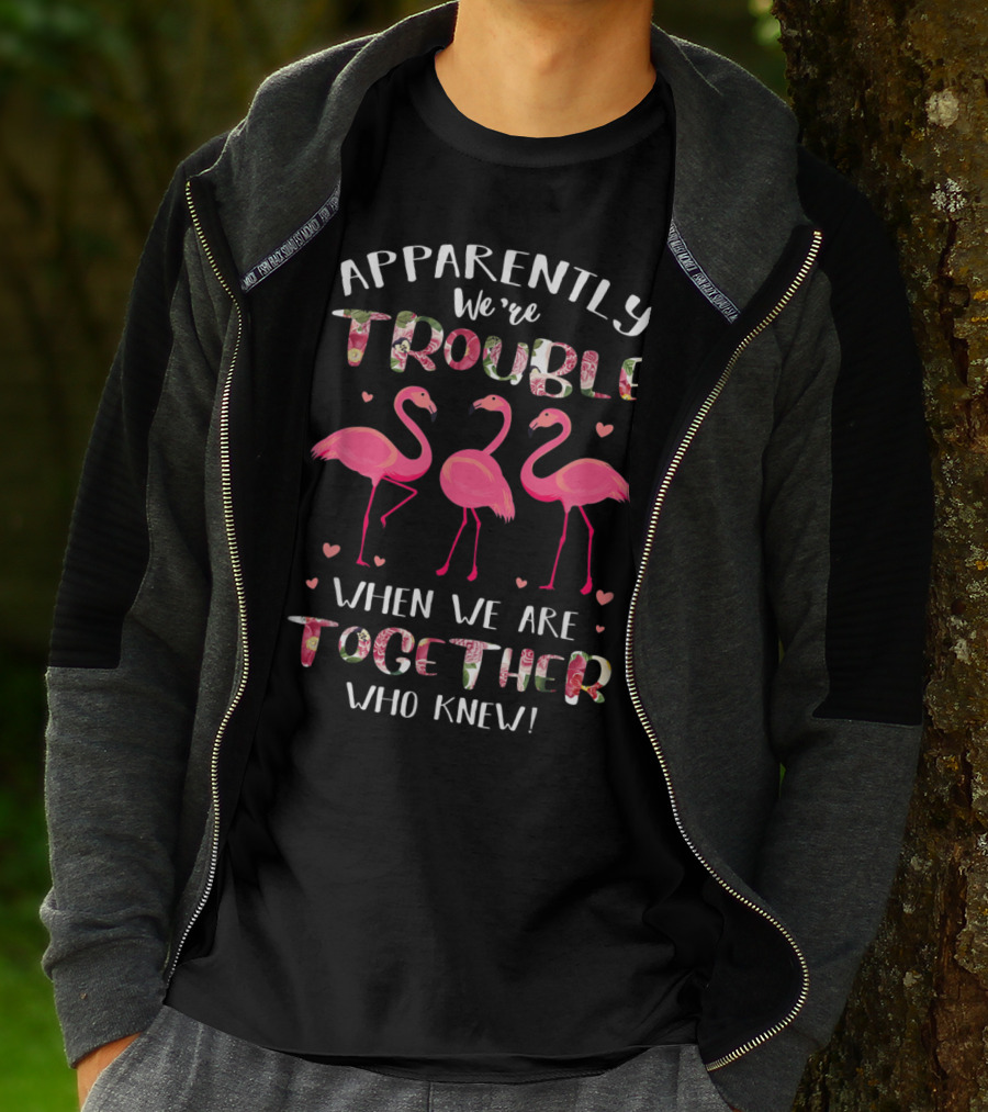Apparently We're Trouble When We Are Together Flamingo Who Knew T-Shirt
