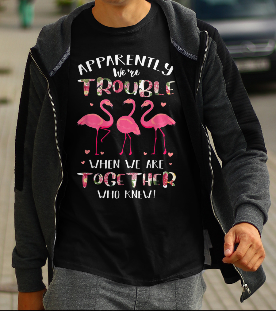 Apparently We're Trouble When We Are Together Flamingo Who Knew T-Shirt