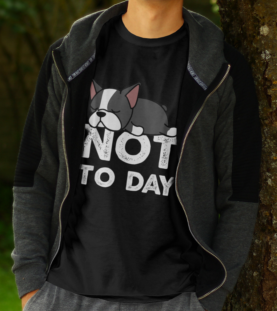 Nope Not Today Lazy Boston Terrier Not To Day T-Shirt