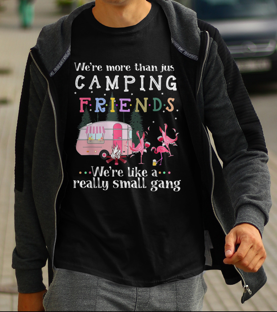 We're More Than Just Camping Friends Flamingo Like A Really Small Gang T-Shirt