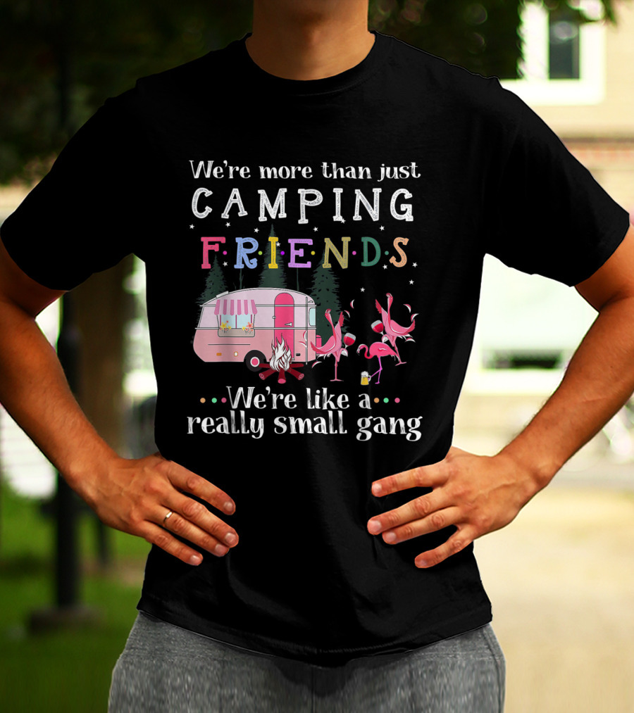 We're More Than Just Camping Friends Flamingo Like A Really Small Gang T-Shirt