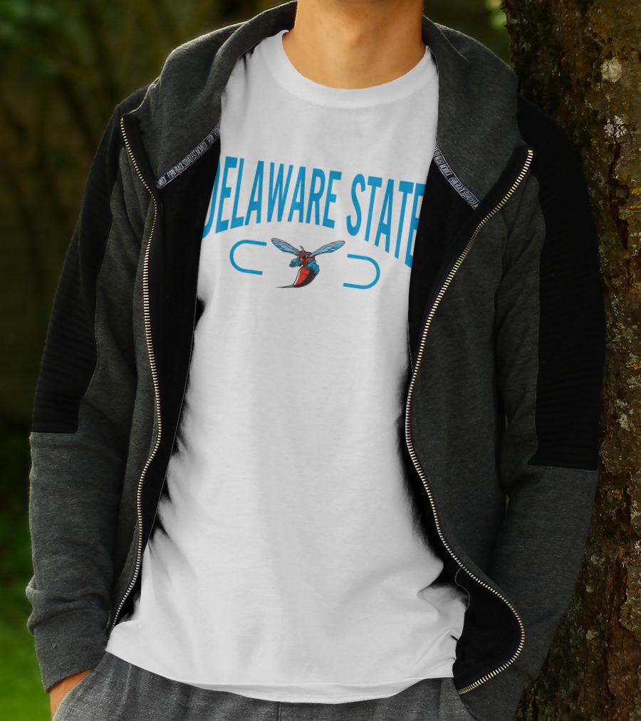 Delaware State Hornets 2.0 Champion T-Shirt
