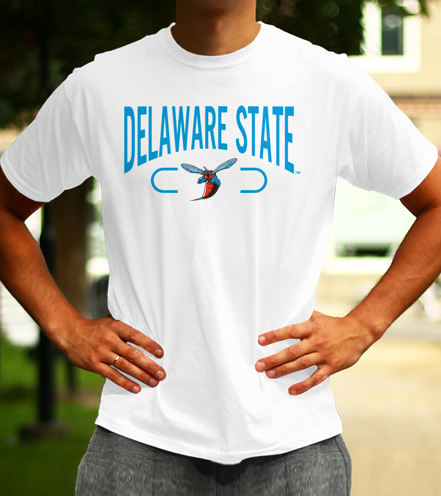 Delaware State Hornets 2.0 Champion T-Shirt