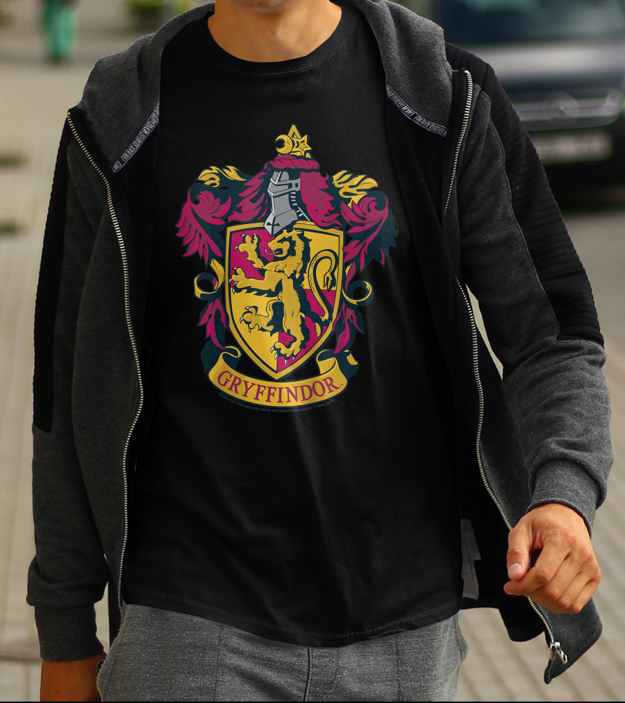 Gryffindor Only Today T-Shirt
