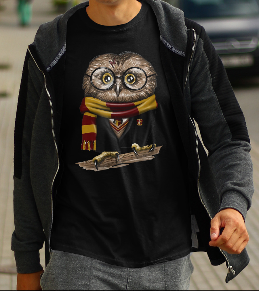 Exclusive Owl Wizard Inspired By Only Today Magic School House Colors T-Shirt