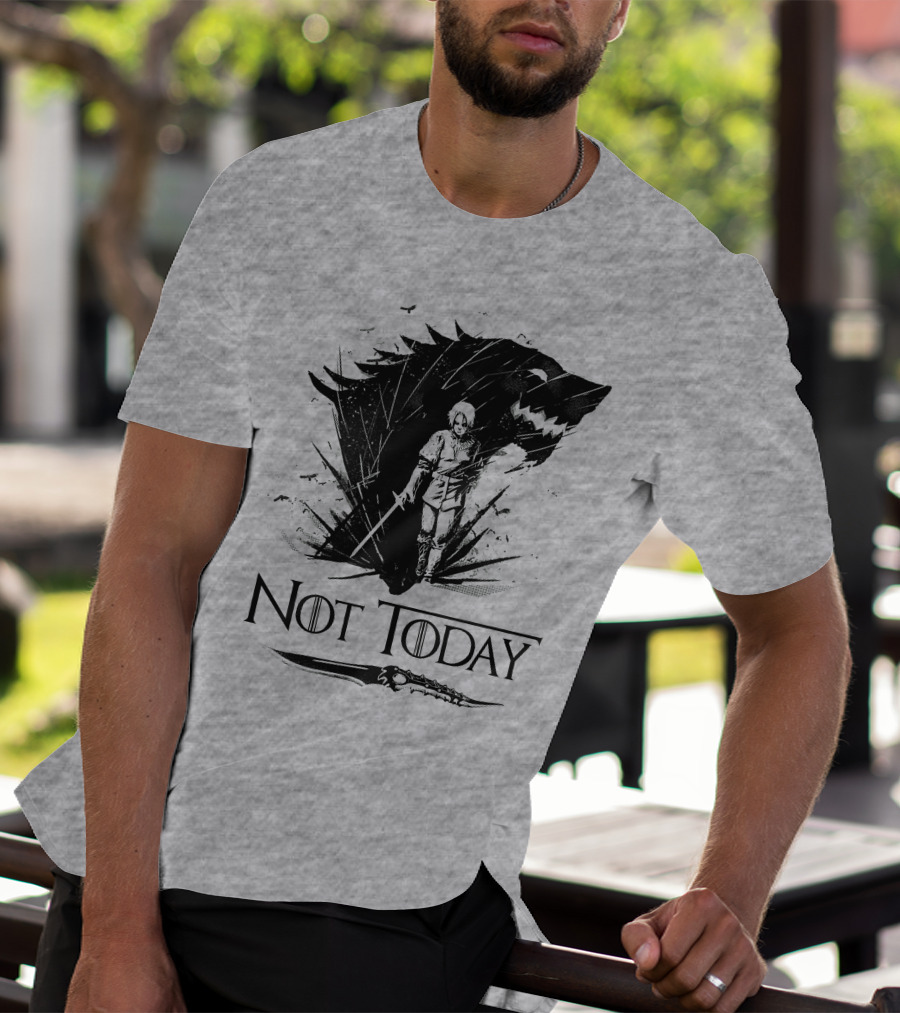 Not Today Wolf Sword Warrior Art ZN4 T-Shirt