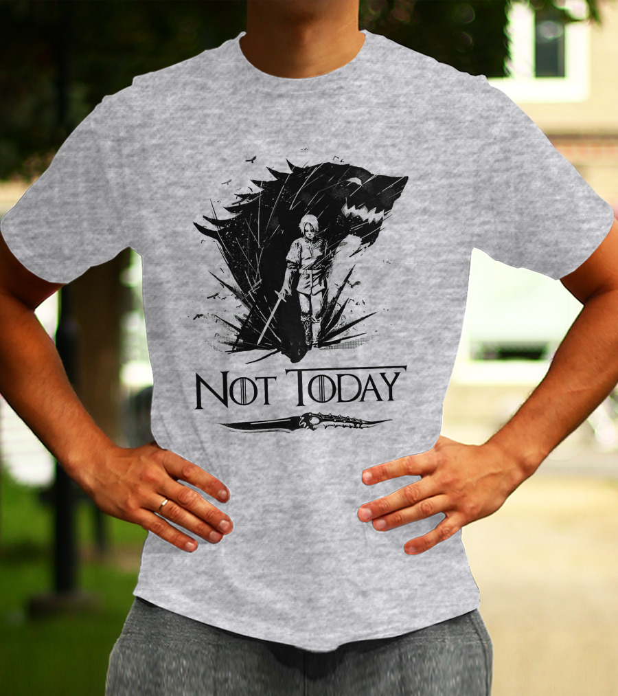 Not Today Wolf Sword Warrior Art ZN4 T-Shirt