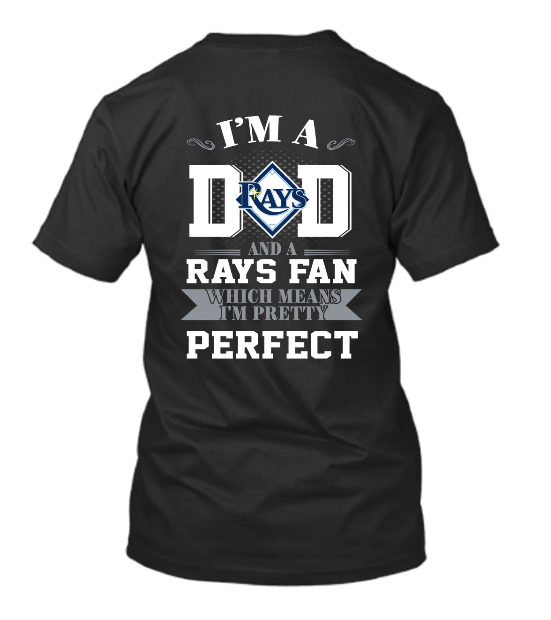 I'M A DAD AND A RAYS FAN WHICH MEANS I'M PRETTY PERFECT T-Shirt