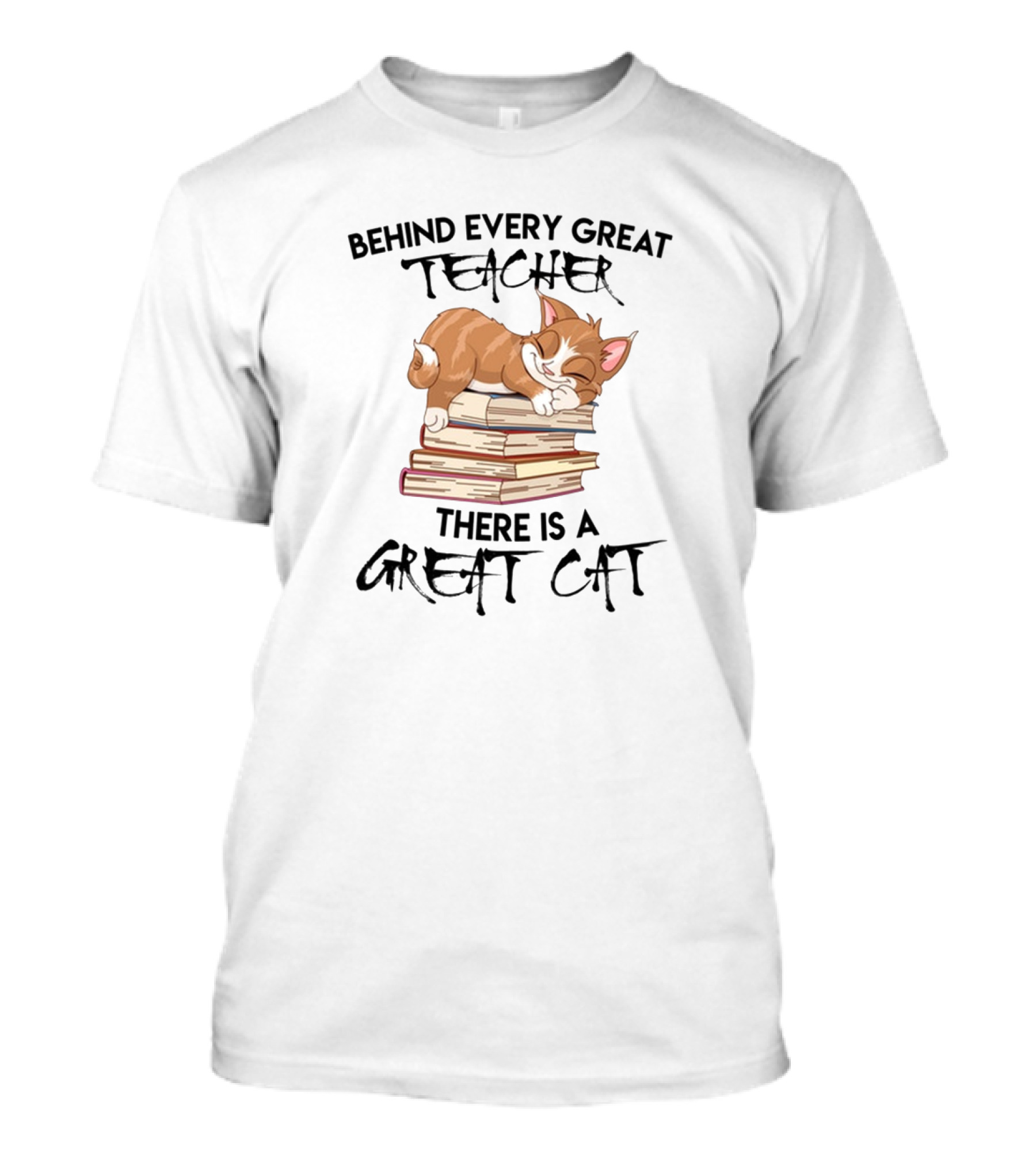 Behind Every Great Teacher There Is A Sleeping Cat On Books T-Shirt