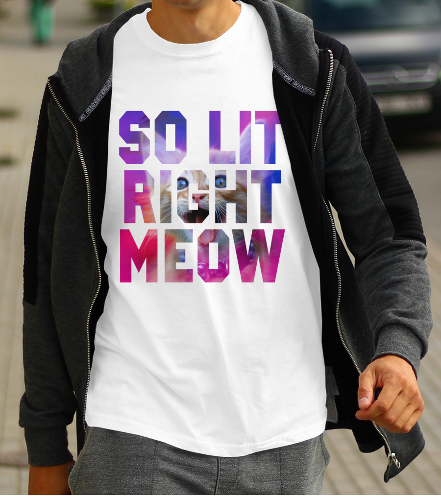 SO LIT RIGHT MEOW Cat Typography T-Shirt